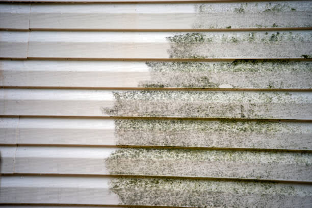 Best Property Management Cleanouts  in Massapequa Park, NY